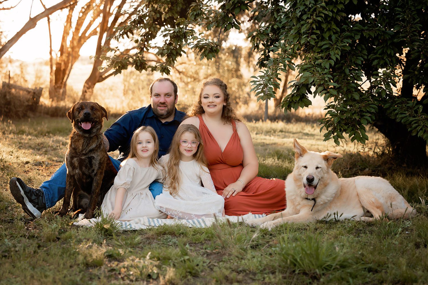 Family photo. mum, dad, two daughters and two dogs, sitting on a run in the paddock, looking at the camera. golden light shining through the trees behind them
