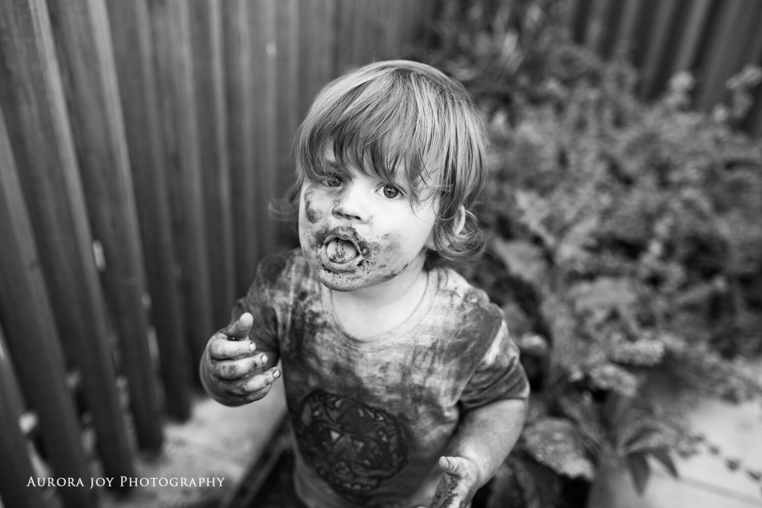 Capture Everyday Moments