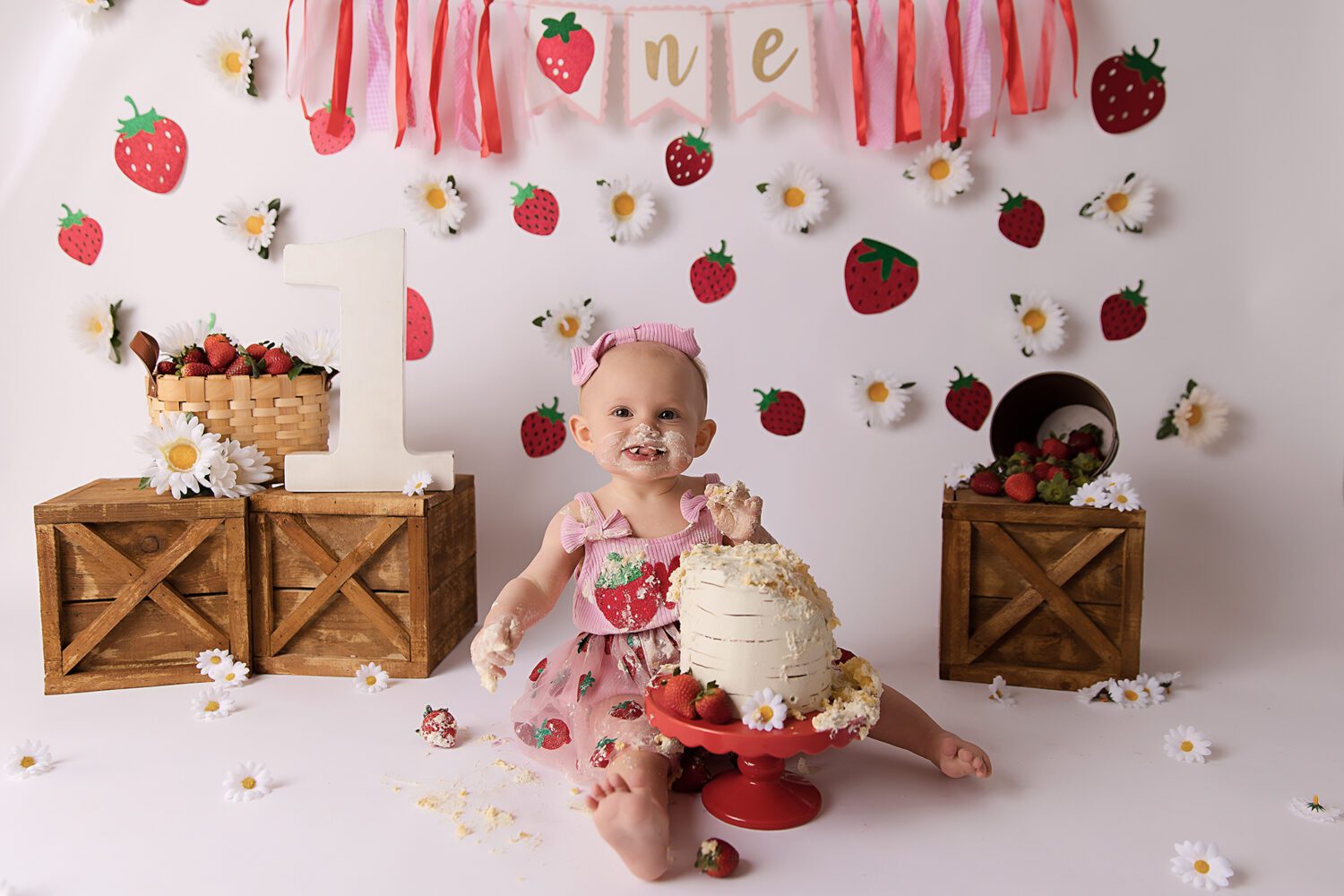 What to Expect at Your Cake Smash Session
Berry first birthday