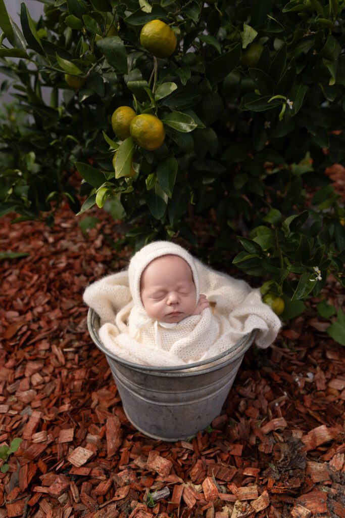 newborn photographer Perth Sleeping newborn baby boy wearing a white bonnet nestled in a galvanised metal bucket — newborn photography by Aurora Joy Photography, Stirling Western Australia