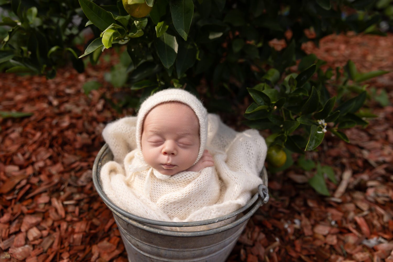 Sleeping newborn baby boy wearing a white bonnet nestled in a galvanised metal bucket — newborn photography by Aurora Joy Photography, Stirling Western Australia